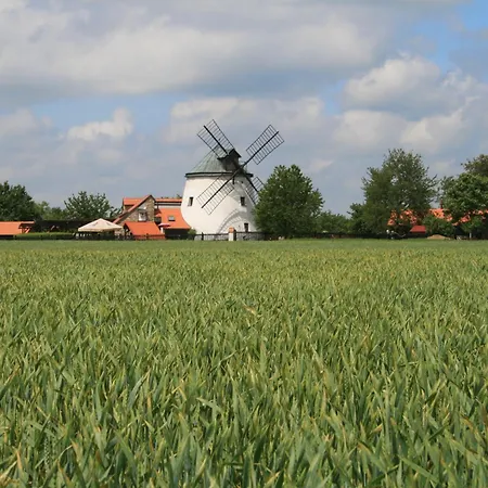 Prázdninový dům U Ježka - Vranovská Přehrada Stitary